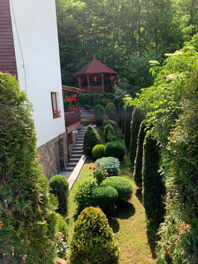 Pensiunea Eva Bed and Breakfast Sovata Εξωτερικό φωτογραφία