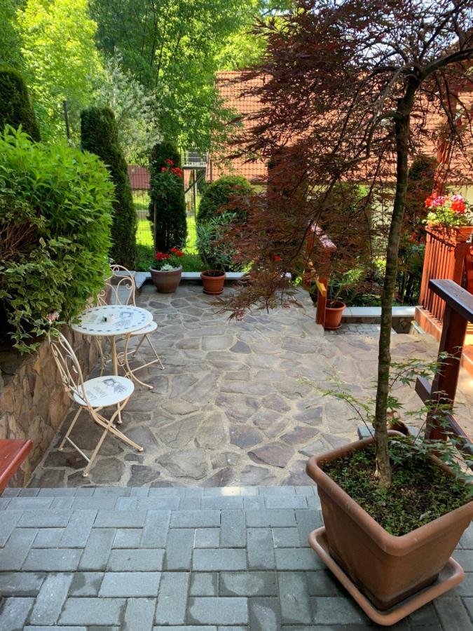 Pensiunea Eva Bed and Breakfast Sovata Εξωτερικό φωτογραφία