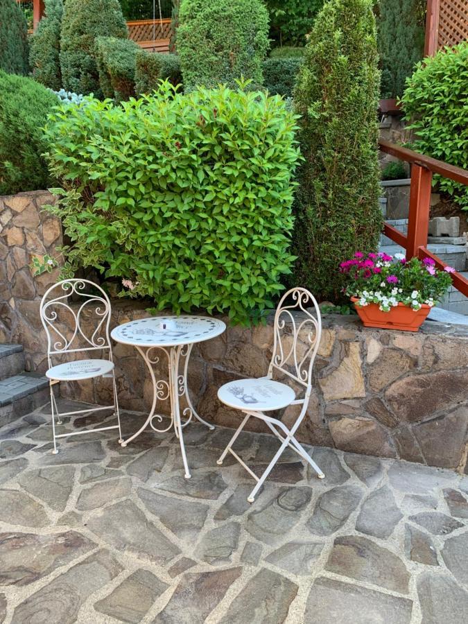 Pensiunea Eva Bed and Breakfast Sovata Εξωτερικό φωτογραφία