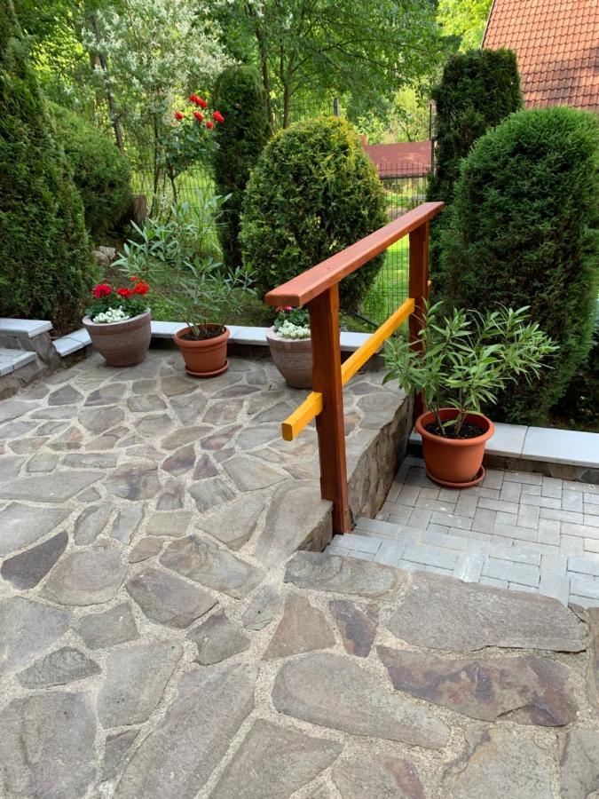 Pensiunea Eva Bed and Breakfast Sovata Εξωτερικό φωτογραφία