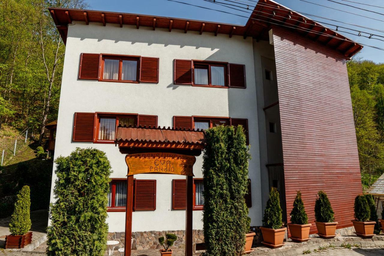Pensiunea Eva Bed and Breakfast Sovata Εξωτερικό φωτογραφία