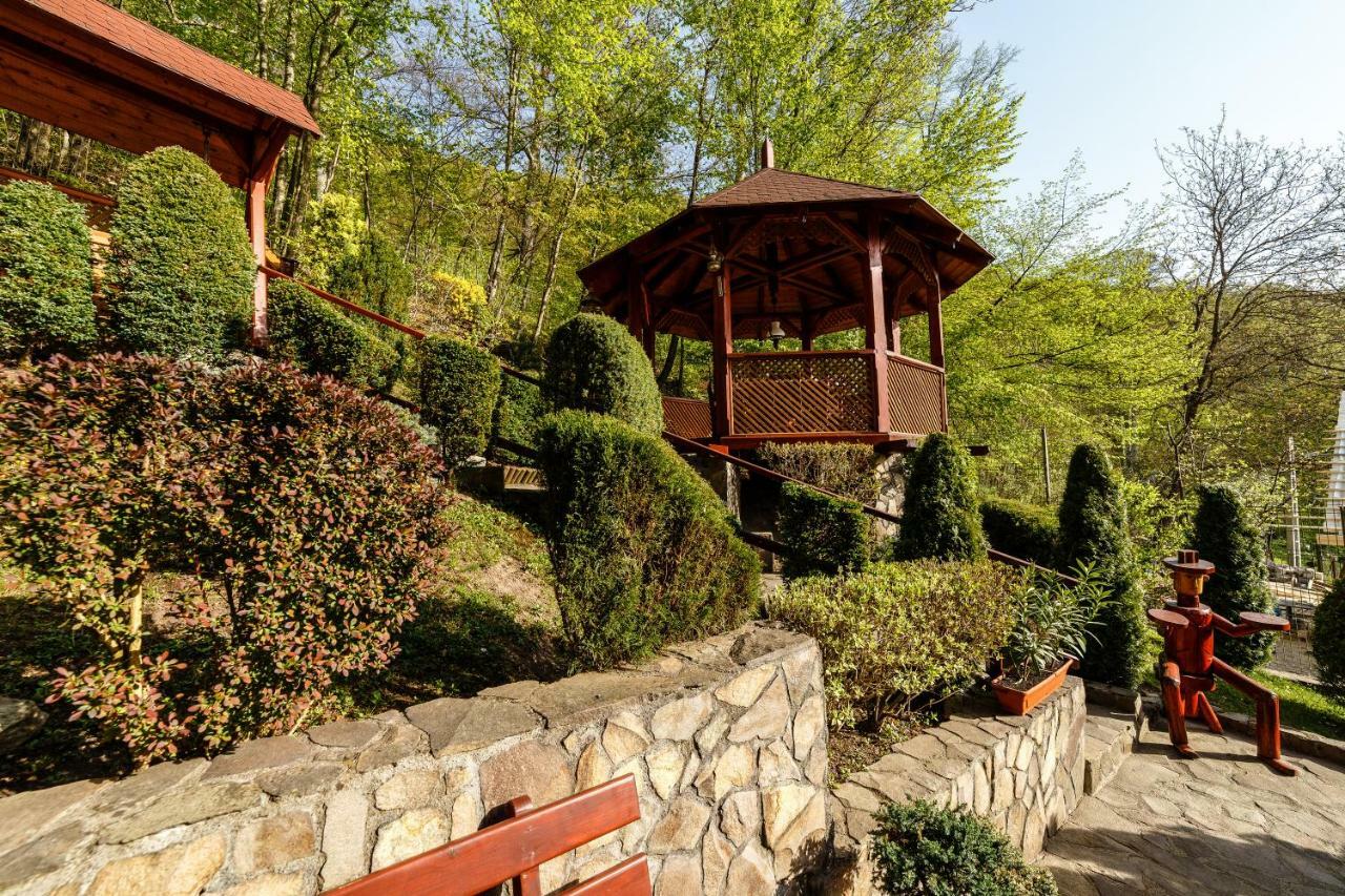 Pensiunea Eva Bed and Breakfast Sovata Εξωτερικό φωτογραφία